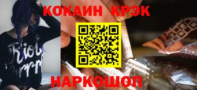 стафф Кингисепп
