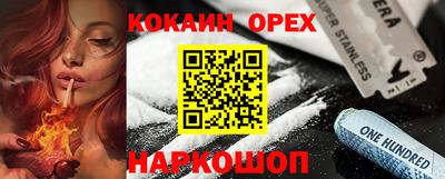 стафф Кингисепп