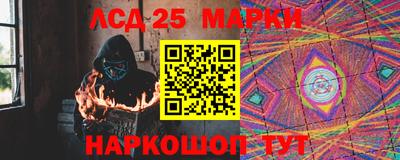 стафф Кингисепп
