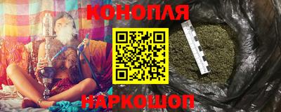 стафф Кингисепп