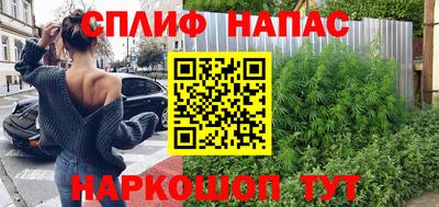 стафф Кингисепп
