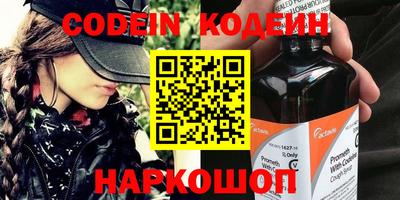 стафф Кингисепп