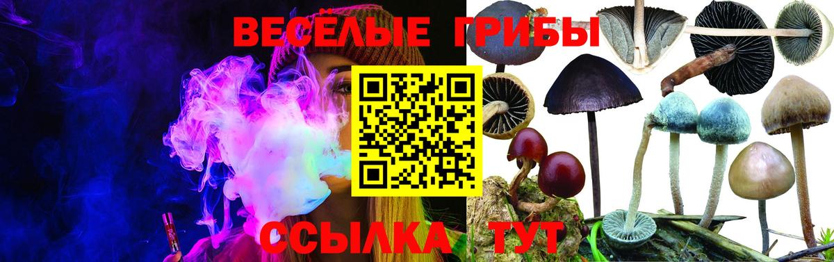 Гулькевичи  Псилоцибиновые грибы MAGIC MUSHROOMS  Вход с VPN 